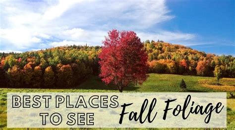 The Best Places To See Fall Foliage By Leaf Peeping Travel Bloggers