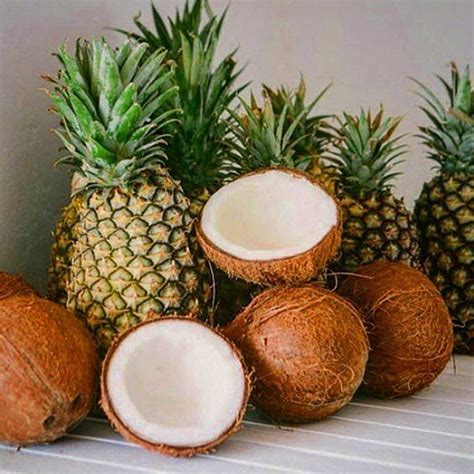 Were Absolutely Coconuts For Pineapple Tag A Friend Who Loves