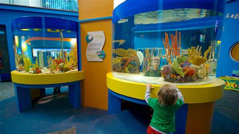 Ripleys Aquarium Of The Smokies In Gatlinburg Tennessee Expedia