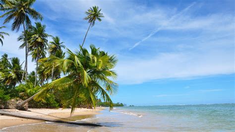Bahia is one of the 26 states of brazil and is in the northeastern part of the country on the atlantic coast. Bahia Beaches, Brazil holidays - Steppes Travel