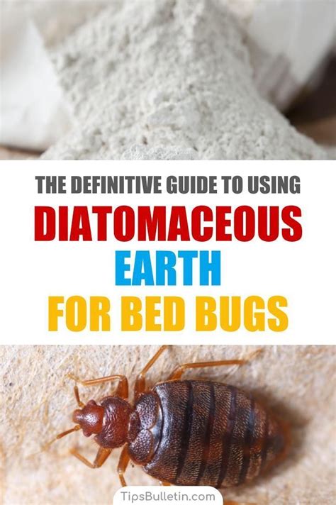 Has Your Home Been Invaded By Bed Bugs Learn How To Stop Them In Their