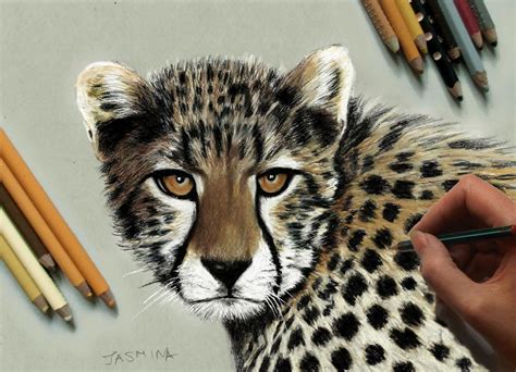 Speed Drawing Cheetah Jasmina Susak Realistic Animal Drawings