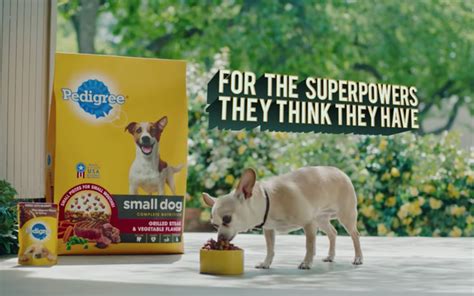 The Latest Campaign From The Pedigree Brand Is Called Hero Ish The