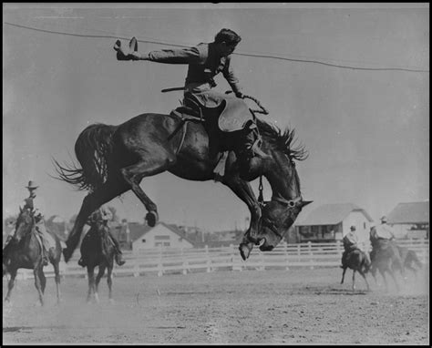 Photograph Of A Bronc Rider The Portal To Texas History