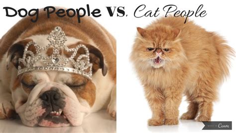 How Intelligent Are Cats Compared To Dogs
