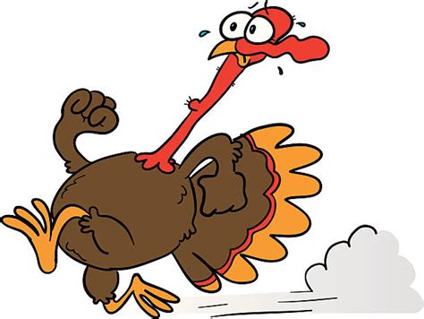 Best Running Scared Turkey Illustrations Royalty Free Vector Graphics