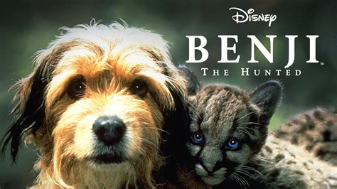 Watch Benji The Hunted 1987 Full Movie Online Free Movie And Tv