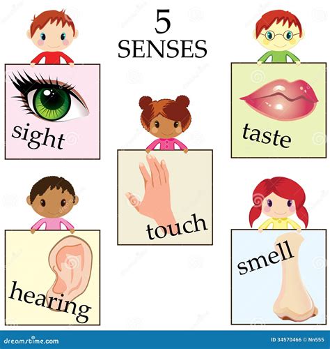 Five Senses Educational Concept Illustration 34570466 Megapixl