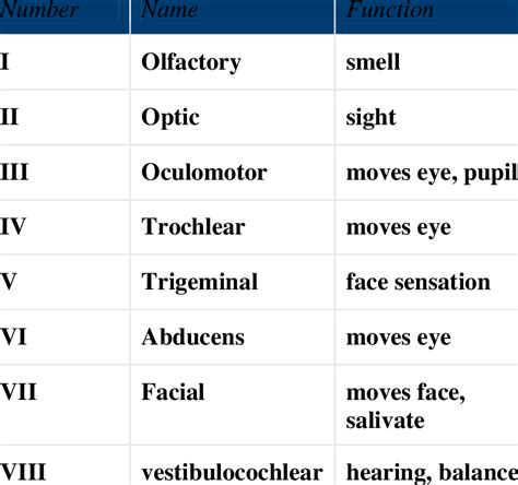 Cranial Nerves And Their Functions Download Scientific Diagram