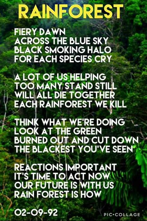 Poetry Rainforest Rainforests Animalsdeforestation Saveplanet