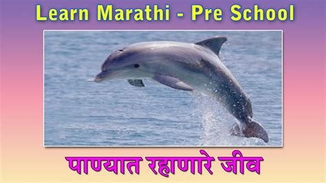 Water Animals In Marathi Learn Marathi For Kids Marathi Grammar