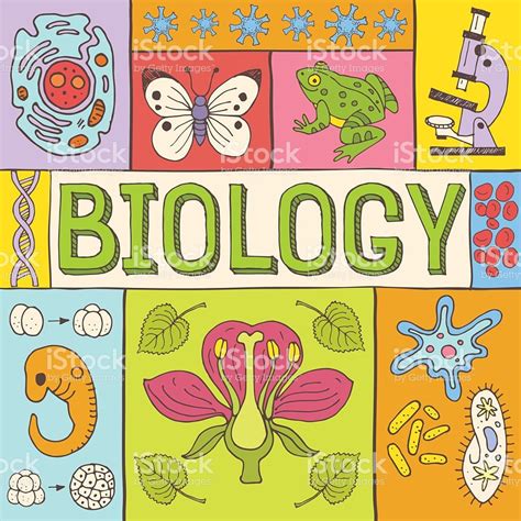 Biology Hand Drawn Colorful Vector Illustration With Doodle Icons