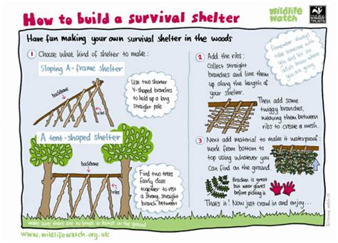 If you have a busy life, and mowing the lawn just isn't making it into your schedule, hiring someone to mow. How to build a survival shelter | Teaching Resources