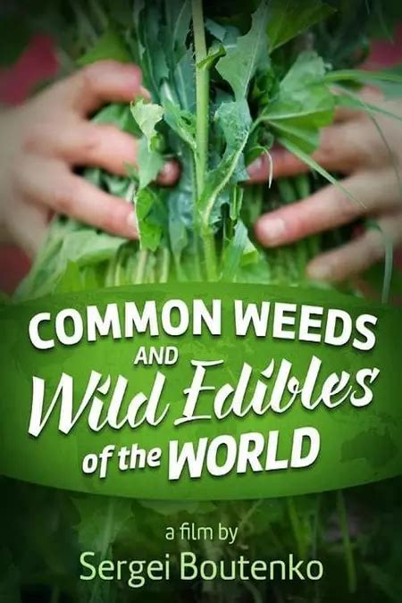 Common Weeds And Wild Edibles Of The World Movie Where To Watch