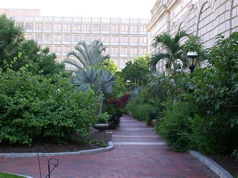 Dc Tropics Smithsonian Gardens Part 3 Enid A Haupt Garden
