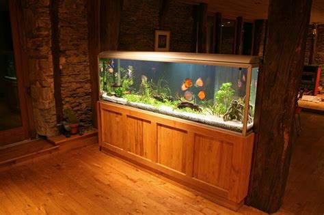 100 Gallon Fish Tank Guide Stocking Ideas Setup And More