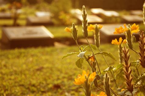 Top 5 Reasons Burial Insurance Senior Life Services