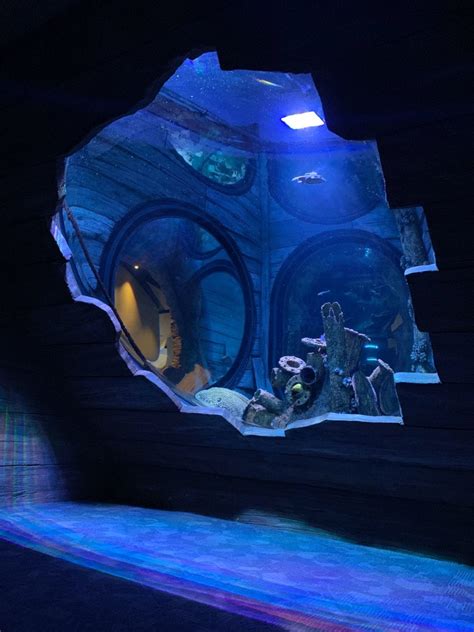 Oman Aquarium Oman Muscat Advanced Aquarium Technologies