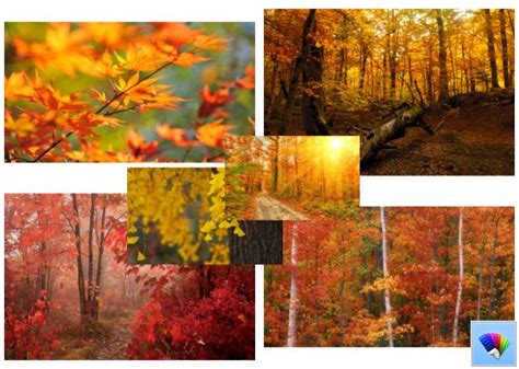 Autumn Theme For Windows 8