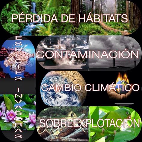 Problemática Ambiental Y Sus Consecuencias Para La Biodiversidad