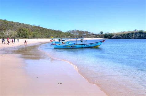 Pantai Pink Lombok Daya Tarik Fasilitas Harga Tiket Rute Ngetrip