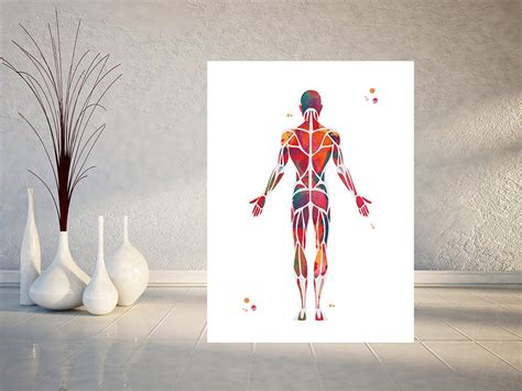 Muscular System Watercolor Print Anatomy Art Human Muscles Medical Art