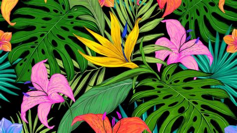 palm leaves desktop wallpapers top free palm leaves desktop backgrounds wallpaperaccess
