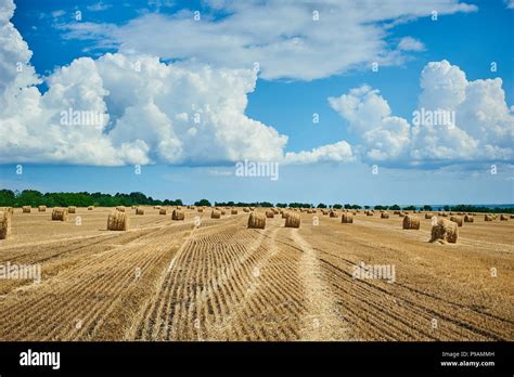 Hay Bale Field And Beautiful Blue Sky Agriculture Rural Nature Farm