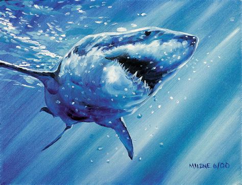 Great White Shark Painting By Matthew Milone Pixels