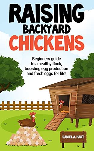 Raising Backyard Chickens A Beginners Guide To A Healthy Flock