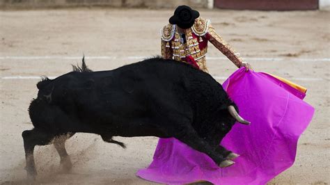 bbc world service the outlook podcast archive the bullfighter who switched sides