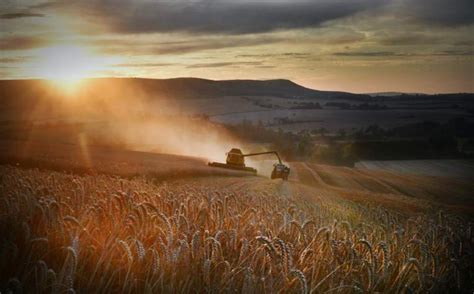 Savills Australia The Savills Blog The Agricultural Transition Plan