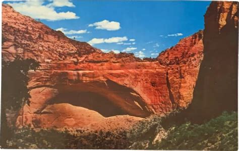 Postcard The Great Arch Zion National Park Utah Ebay