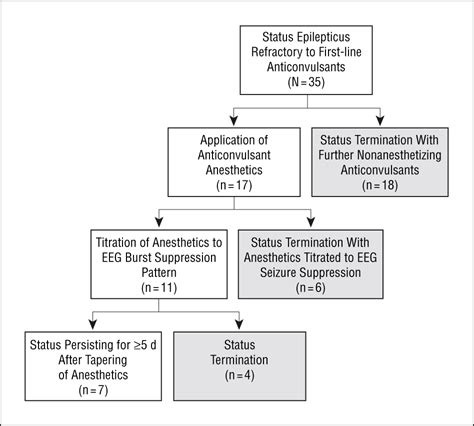 A Malignant Variant Of Status Epilepticus Epilepsy And Seizures