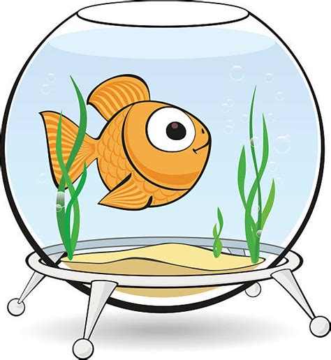 Freshwater Fish Tank Cartoons Stock Photos Pictures And Royalty Free