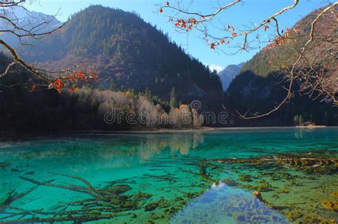 Autumn Tree Mountain And Lake In Jiuzhaigou Stock Image Image Of