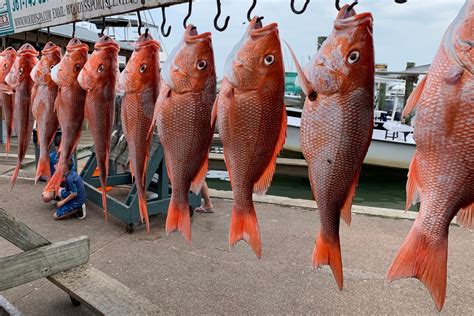 Corpus Christi Fishing The Complete Guide