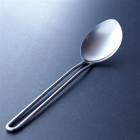 Williams Sonoma Open Kitchen Stainless-Steel Spoon | Williams Sonoma AU