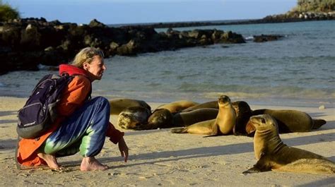 Sustainable Tourism And Conservation In The Galapagos Islands