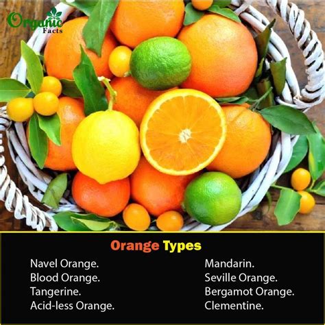 Information About Oranges Orange Type Orange Facts Organic Facts