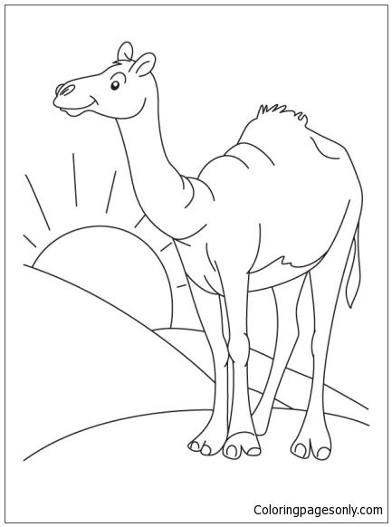 Sahara Desert Coloring Page Free Printable Coloring Pages