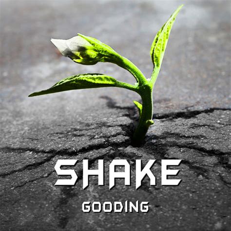 Shake Single Single By Gooding Spotify