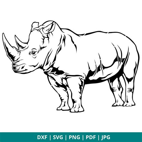 Rhino Dxf Svg  Png Pdf