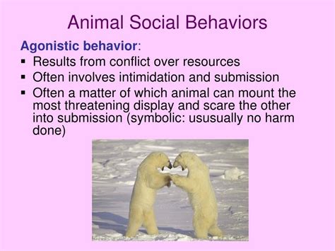 Ppt Animal Behavior Powerpoint Presentation Free Download Id1108636