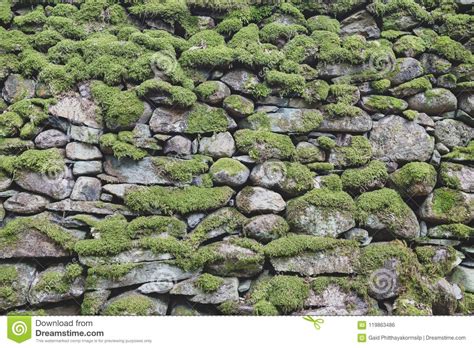 Pattern And Texture Background Of Old Stone Wall Covered