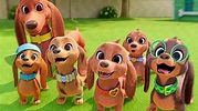 PRETZEL AND THE PUPPIES - Official Trailer (2022) Apple TV+ - YouTube