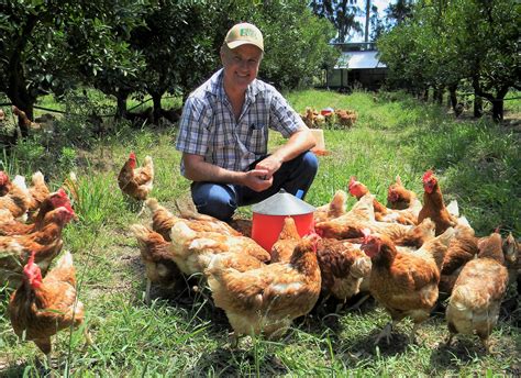 Certified Organic Pasture Based Poultry Production Agriorbit
