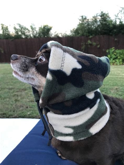 Dog Hat Dog Hoodie Hats For Small Dogs Etsy Perros Mascotas Ropa