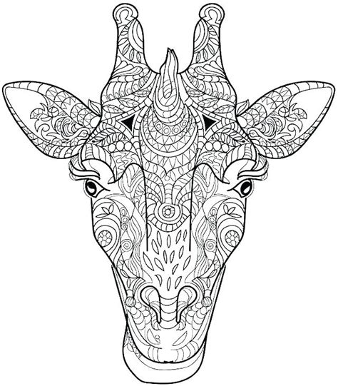 Detailed Animal Coloring Pages For Adults At Free