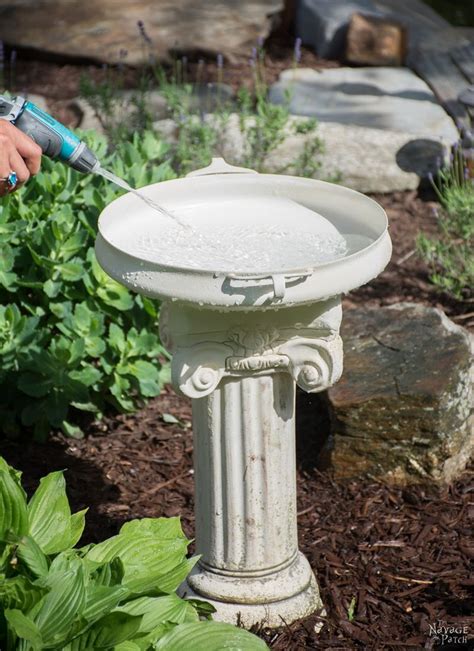 Ask yourself these 8 questions before buying a new bird bath. DIY Bird Bath - The Navage Patch